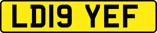 LD19YEF