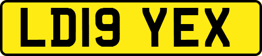 LD19YEX