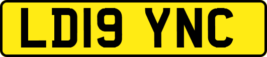 LD19YNC