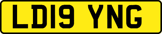 LD19YNG