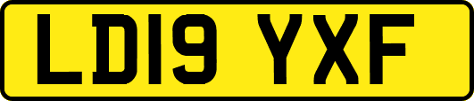 LD19YXF