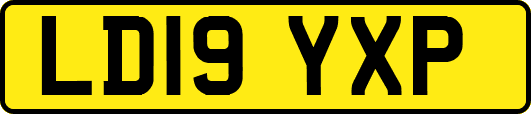 LD19YXP