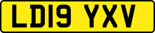 LD19YXV