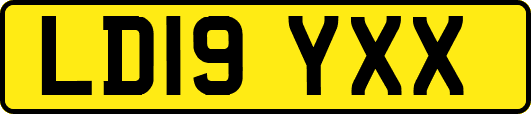LD19YXX
