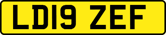 LD19ZEF