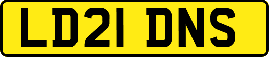 LD21DNS