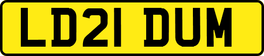 LD21DUM