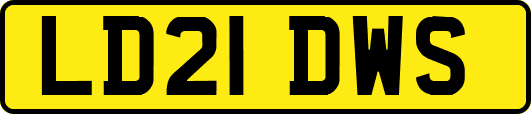 LD21DWS