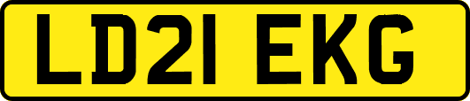 LD21EKG