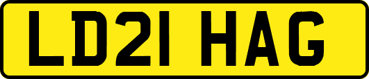 LD21HAG