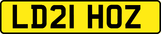 LD21HOZ