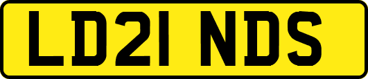 LD21NDS