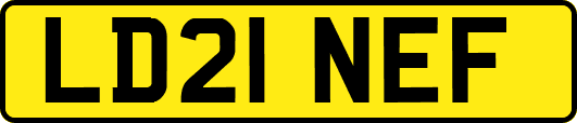 LD21NEF