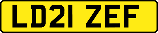 LD21ZEF