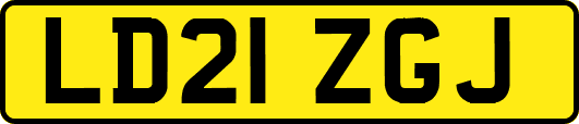 LD21ZGJ