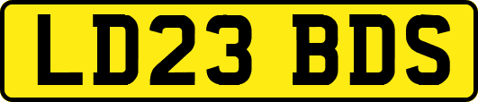 LD23BDS