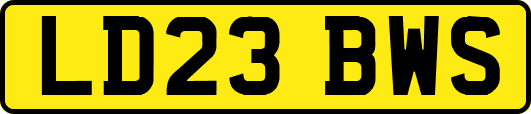 LD23BWS
