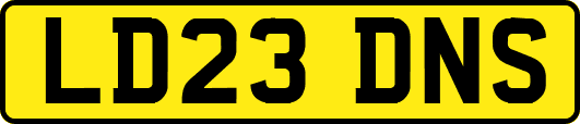 LD23DNS