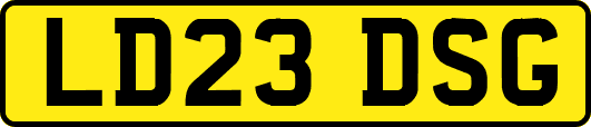 LD23DSG