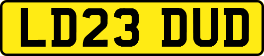 LD23DUD