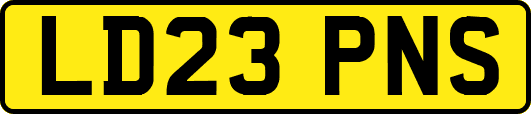 LD23PNS