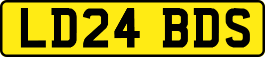 LD24BDS