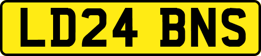 LD24BNS