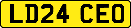 LD24CEO