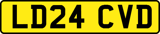 LD24CVD