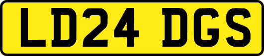 LD24DGS