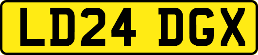 LD24DGX