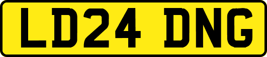 LD24DNG