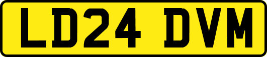 LD24DVM