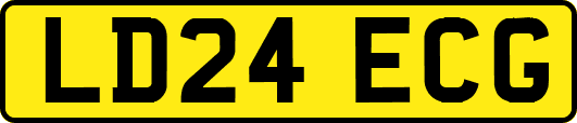 LD24ECG