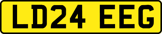 LD24EEG