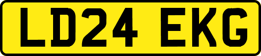 LD24EKG