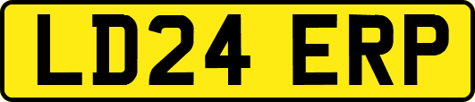 LD24ERP