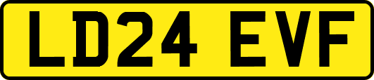 LD24EVF