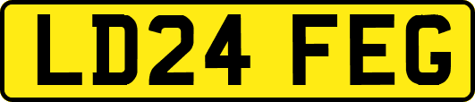 LD24FEG