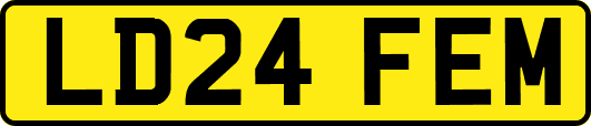 LD24FEM