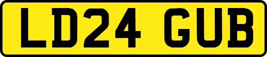 LD24GUB