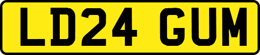 LD24GUM