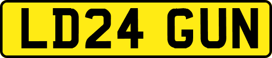 LD24GUN