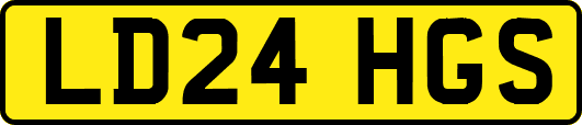 LD24HGS