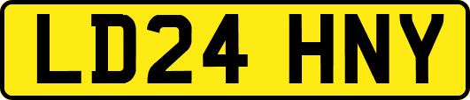 LD24HNY