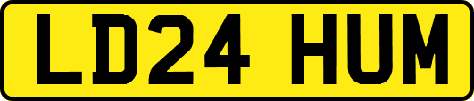 LD24HUM