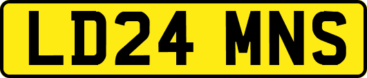 LD24MNS