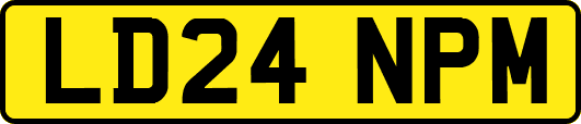 LD24NPM