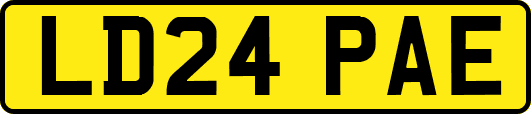 LD24PAE