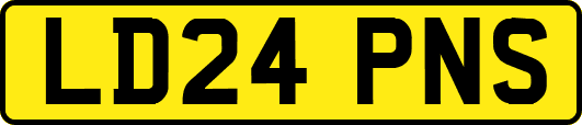 LD24PNS